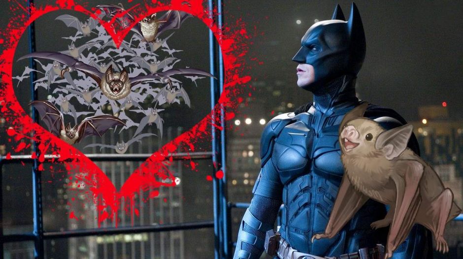 Egymás vérét szívják, mégis igaz barátok a vérszívó denevérek