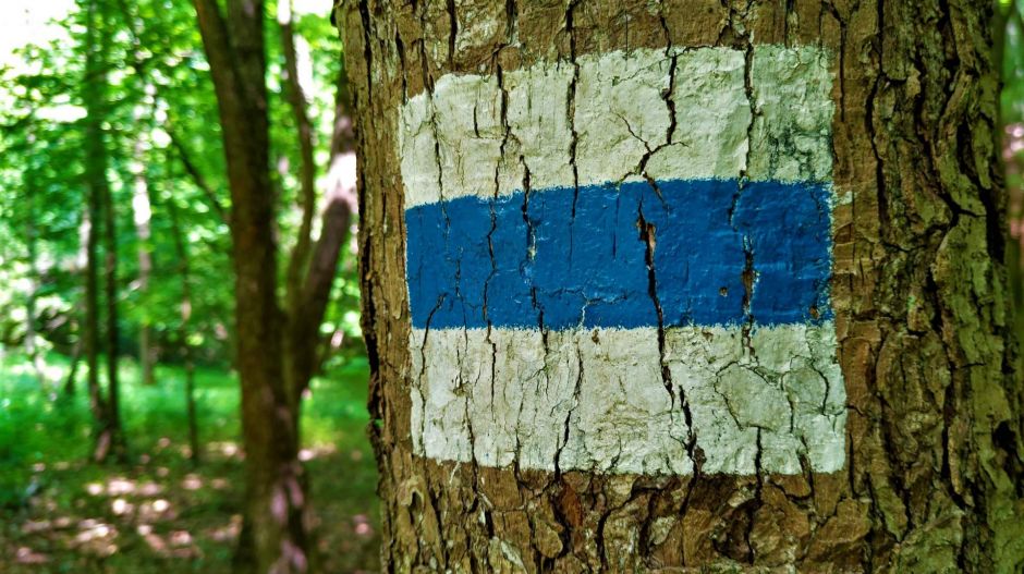 Vasutastúrából Európa első hosszútávú turistaútja: ma van a kéktúrázás napja