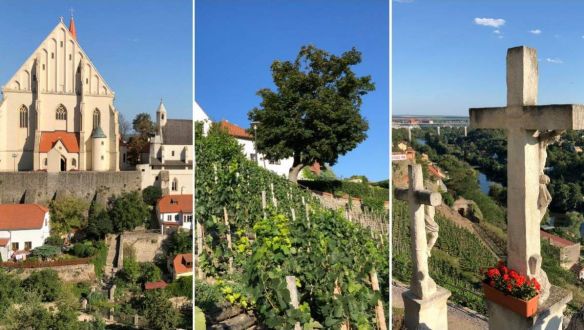 A csehországi város, ahol a borászok miatt mentek tönkre a sörfőzdék