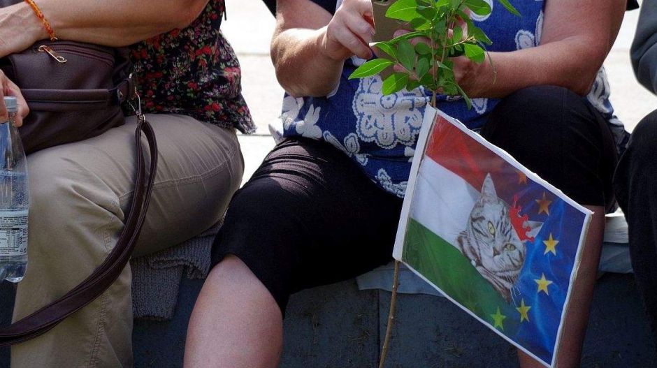 Ezt megúsztuk, nem tör ki a nagy Gyurcsány vs. Erzsi macska háború