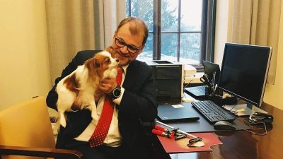 A finn miniszterelnöknek egyaránt elege van a brexitből és a spitzenkandidati rendszerből