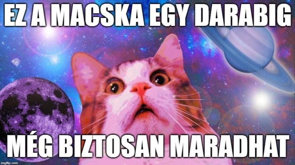 Elhalasztotta az EP, hogy döntsön a mémgyilkos szabályozásról