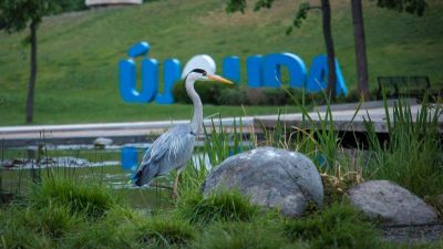 Heten is polgármesterek lennének Újbudán