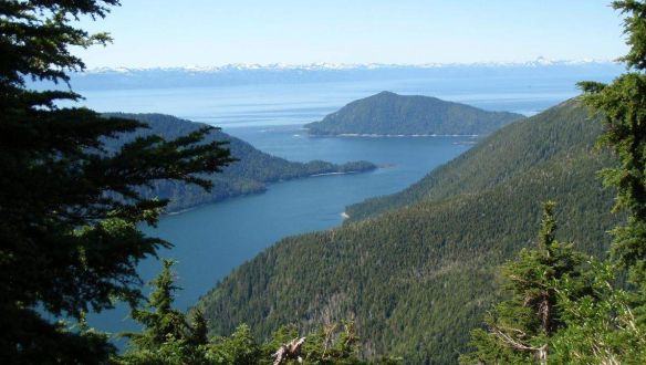 Miközben ég az Amazonas medencéje, Trump nekiesne az alaszkai esőerdőnek