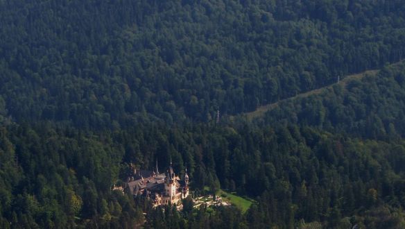 Képtelen megállítani a famaffiát Románia