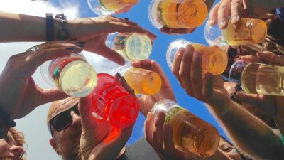 Egy hallucinogén drog lehet az alkoholizmus gyógyszere