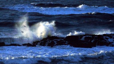 Sosem voltak még annyira melegek az óceánok, mint tavaly