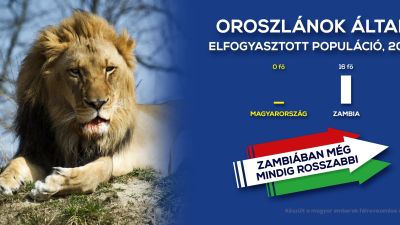 Ellenzéki ridikülcsata robbant ki az önkormányzati bizottságok körül