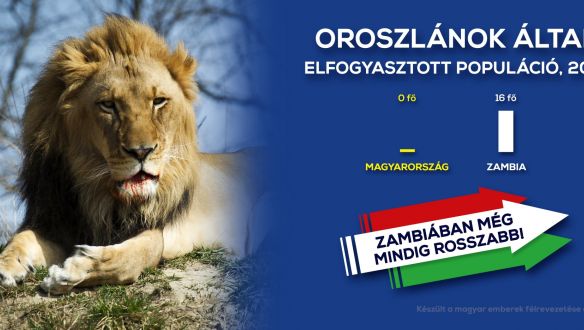 Ellenzéki ridikülcsata robbant ki az önkormányzati bizottságok körül