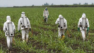 Miért nem tudja betiltani az EU a glifozátot? Jávor Benedek elárulja: nem csak Orbán miatt