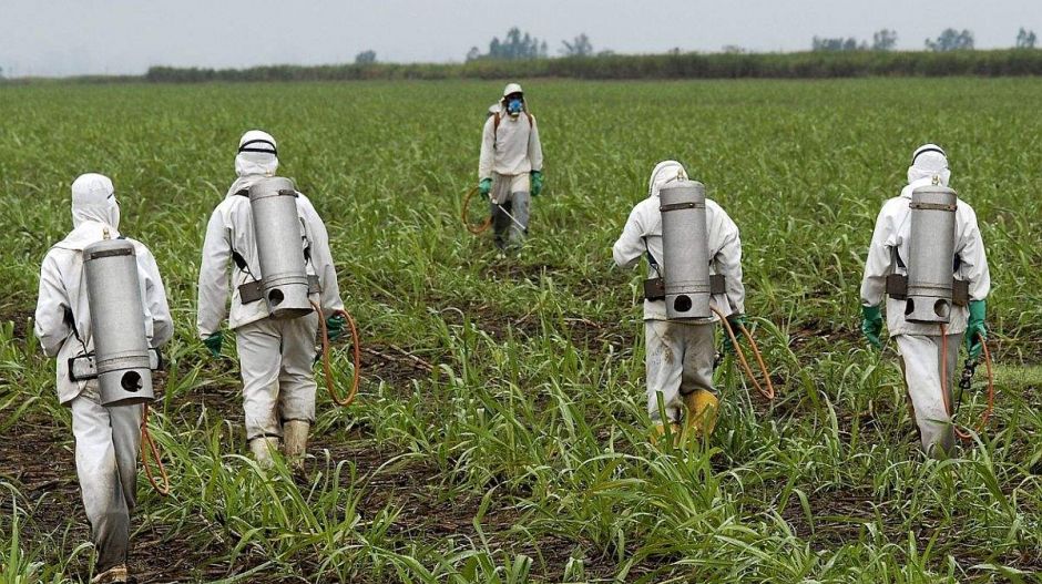 Miért nem tudja betiltani az EU a glifozátot? Jávor Benedek elárulja: nem csak Orbán miatt