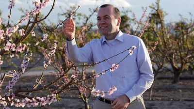 Weber ajánlatot tesz: Bajorország finanszírozná a CEU egyes tanszékeit