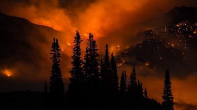 Pár éven belül Magyarországot is elérhetik az erdőtüzek