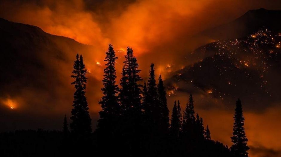 Pár éven belül Magyarországot is elérhetik az erdőtüzek