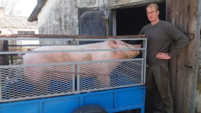 Az olimpiai bajnok, jobbikos Steinmetz Ádám mögé áll be az LMP Somogy megyében