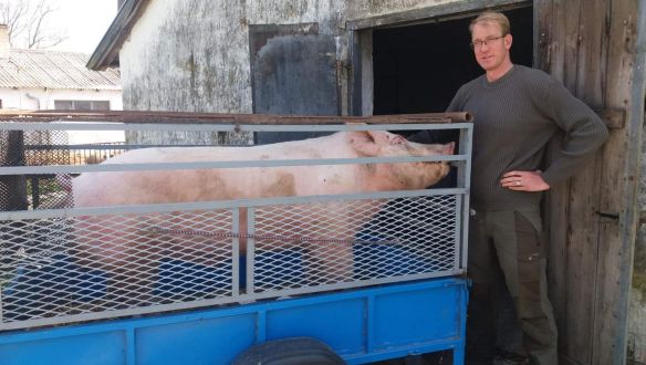 Az olimpiai bajnok, jobbikos Steinmetz Ádám mögé áll be az LMP Somogy megyében