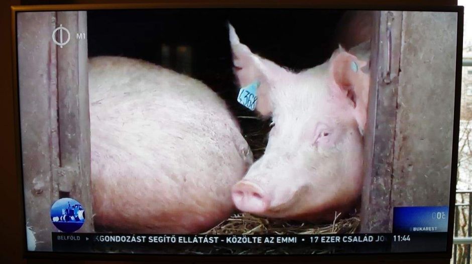 Ellenzéki képviselők próbálják beolvasni a tüntetők öt pontját a köztévében – percről percre az Azonnalin!
