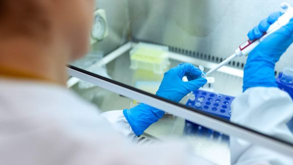 Mégis laboratóriumból származhat a vuhani koronavírus?