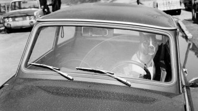 A városi fák nagy ellensége: a kutyapisi