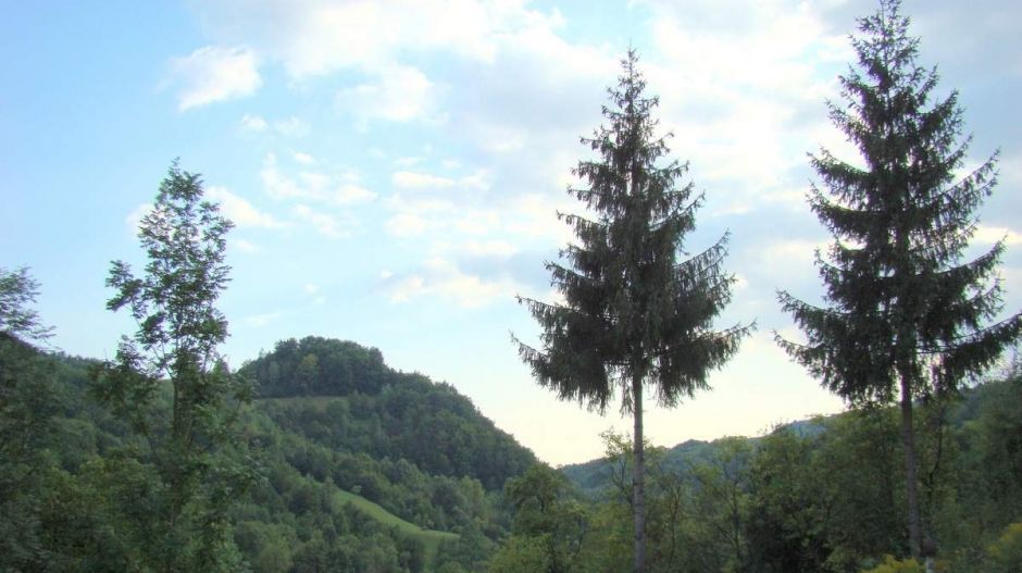 Magyarország is rá kell bólintson Románia legnagyobb aranybányájára