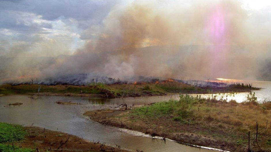 Itt Van Minden, Amit az Égő Amazonasról Tudnod Kell