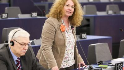 Az osztrák zöldek az EU-ban reklamálnak Orbán „koronapuccsa” miatt