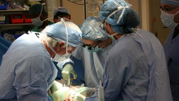 Svájcban a nép úgy döntött, ezután az is lehet holtan szervdonor, aki életében ebbe nem egyezett bele