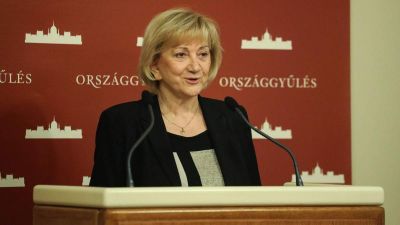 Az LMP társelnöke mögé áll be az MSZP Nagykátán az előválasztáson