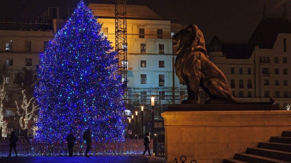 Az összetört szánkók pótlására gyűjt a Momentum politikusa: villáminterjú!
