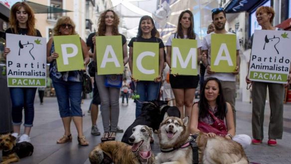 Egy radikális állatvédő, vegán párt okozhat felfordulást Spanyolországban