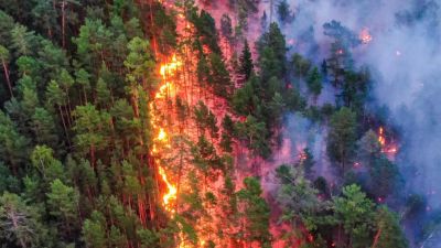 Egyre durvábbak a szibériai erdőtüzek, Putyin sürgős erősítést küldött