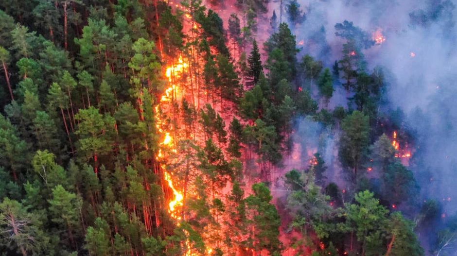 Egyre durvábbak a szibériai erdőtüzek, Putyin sürgős erősítést küldött