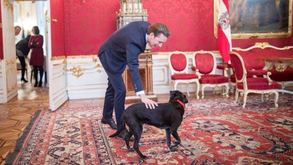 Miért fordult Kurz Orbánnal szembe?