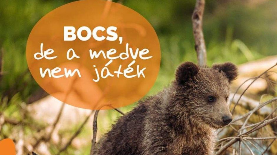 El is mennek Tusnádfürdőre a szocialisták, meg nem is