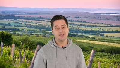Minden, amit egy Azonnali-olvasónak a soproni borvidékről tudnia érdemes