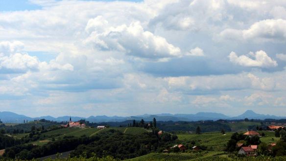 Furmint a fő fajtájuk, gyönyörű a táj, de nem Tokaj, mi az?