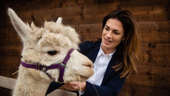 Völner-ügy: három parlamenti bizottság is várná Varga Judit válaszait