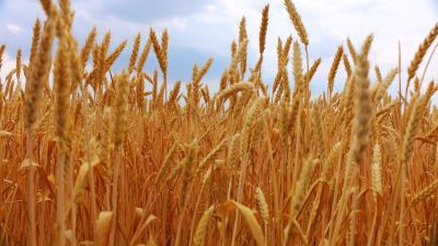 ENSZ: sokan fognak éhen halni, ha nem sikerül megnyitni az ukrán kikőtőket