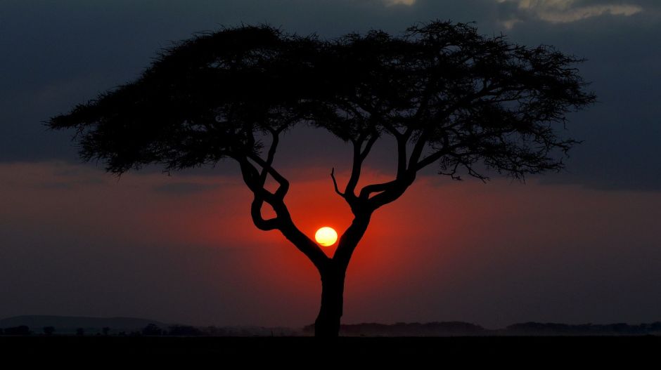 Szülőfalujában ölték meg a helyiek a kenyai sorozatgyilkost