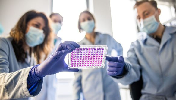 Sikeres volt a francia vakcina klinikai tesztje