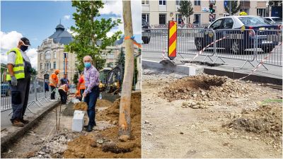 A polgármester fákat ültetett, lefotóztatta magát közben, majd a fák hirtelen eltűntek