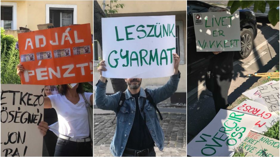 Magyar Kétfarkú Kutya Párt: Legyünk norvég gyarmat!