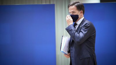 Új menedzsereket választanak a Hollandia Zrt. részvényesei