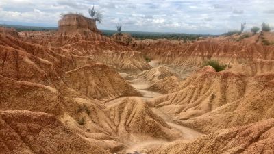Sivatagi rondó karibi ritmusokra