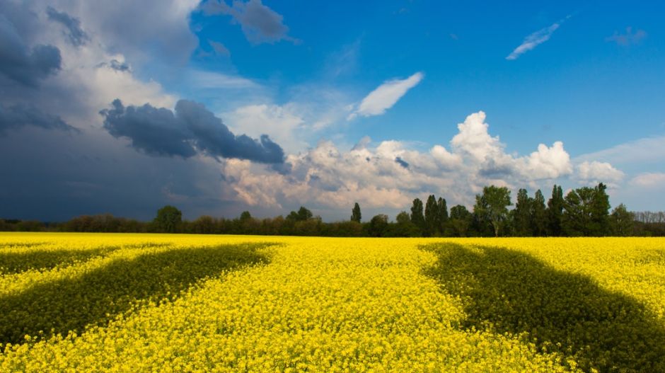Мирний мітинг вільних людей