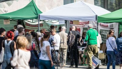 Már több mint 400 ezren szavaztak a második fordulóban