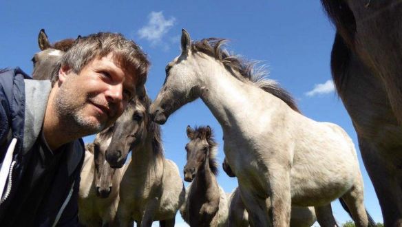 Ezért vonul ki Facebookról és a Twitterről a német Zöldek vezére