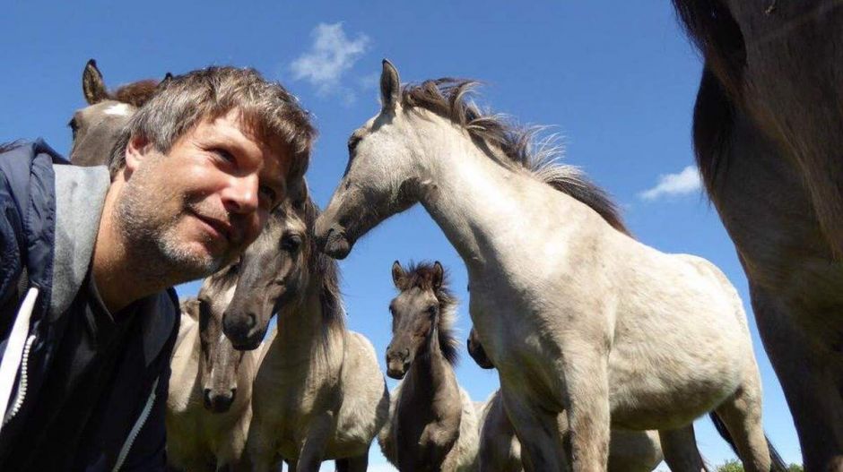 Ezért vonul ki Facebookról és a Twitterről a német Zöldek vezére