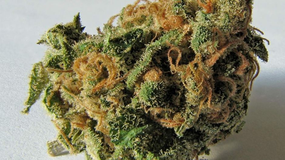 Mit tud a füves sör?