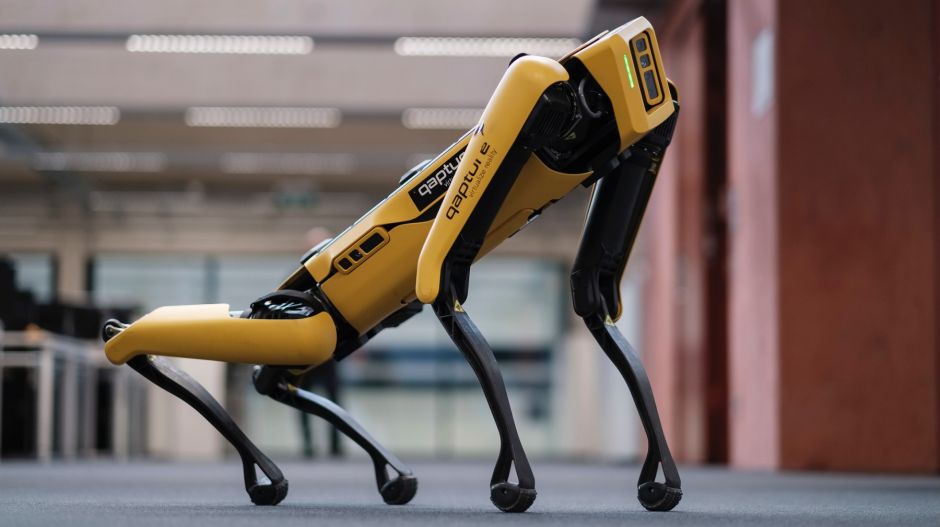 Robotkutya aknamentesít majd Kijev környékén